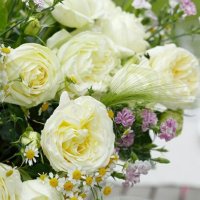 Роза 12, снимка 2 - Градински цветя и растения - 41787026