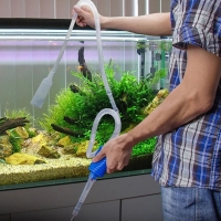 Ръчна помпа за почистване на аквариум. Сифон за аквариум. Оборудване за аквариум. Акваристика., снимка 2 - Оборудване за аквариуми - 36114358