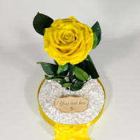 Вечна роза в ГОЛЯМА стъкленица / Оригинален Подарък за Жена / Подарък за Приятелка/ Жълта Вечна Роза, снимка 7 - Подаръци за сватба - 36455119