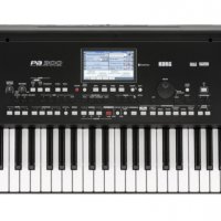 Синтезатор Korg PA300/ Корг Па300, снимка 2 - Аудиосистеми - 35891824