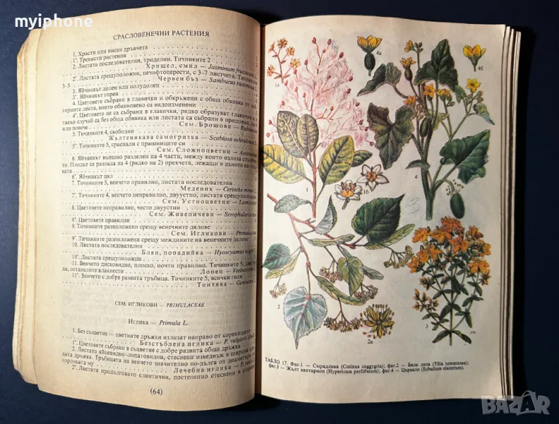 Стара Книга Разпознаване и Събиране на Билки / Борис Китанов, снимка 1