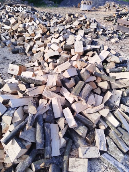 Нарязани и нацепени дърва , снимка 1