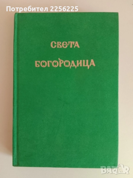 Света Богородица, снимка 1