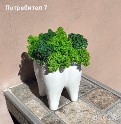 Декорация формата на зъб със скандинавски мъх 