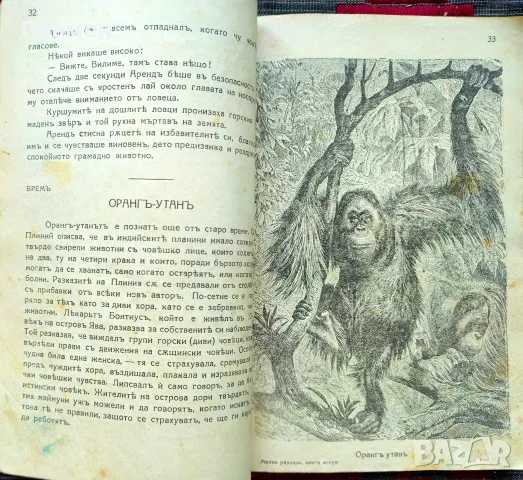 Малки разкази за животни и растения. Кн. 1-4 Стефанъ Велчевъ /1929/, снимка 5 - Антикварни и старинни предмети - 56137216