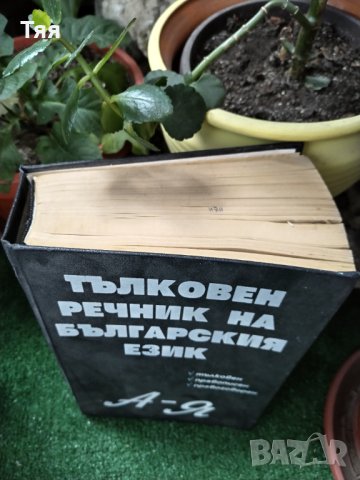 Тълковен речник , снимка 3 - Специализирана литература - 41083284