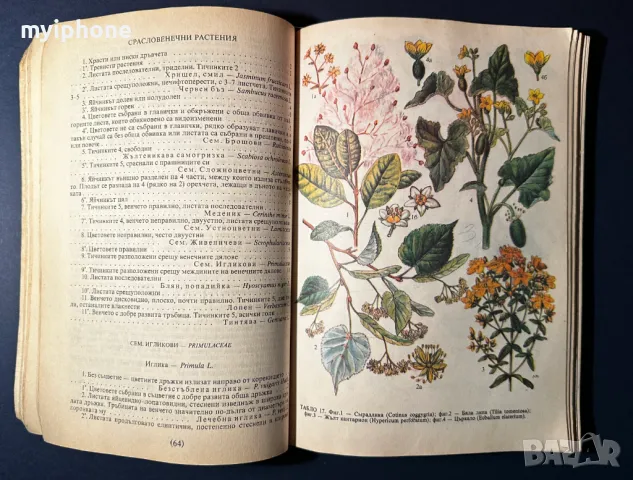 Стара Книга Разпознаване и Събиране на Билки / Борис Китанов