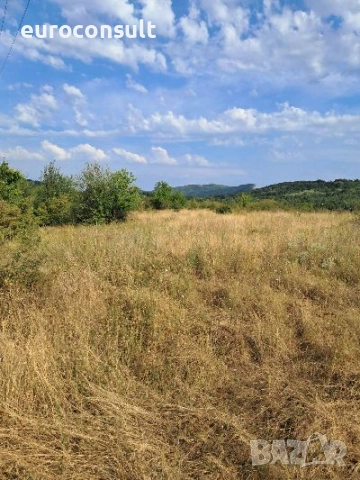 Парцел гр Севлиево 3605 кв.м ,местност "Севлиевски лозя",високата част , снимка 8 - Парцели - 52206441