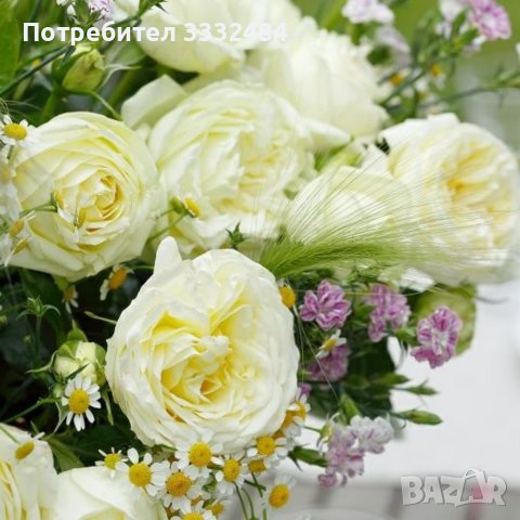 Роза 12, снимка 2 - Градински цветя и растения - 41787026