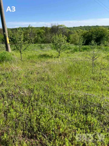 Продавам парцел в село Стамболийски, област Хасково, снимка 7 - Парцели - 50131042