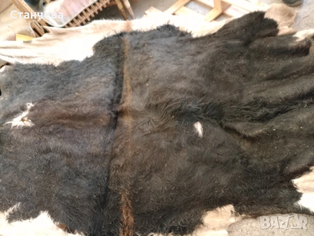 агнешки и кози кожи , снимка 4 - Антикварни и старинни предмети - 53671618