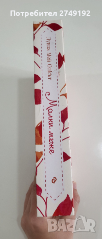 Малки мъже - Луиза Мей Олкът, снимка 3 - Художествена литература - 44528642