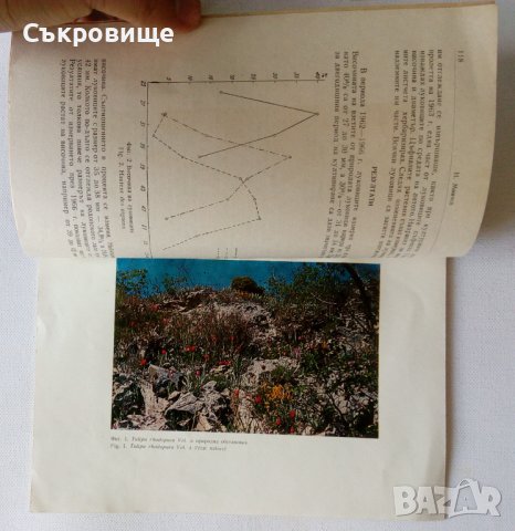 Рядка ботаническа книга Селекция и интродукция на родопското лале - Никола Минчев - ботаника