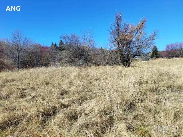 Продава панорамен парцел Смолянски езера , снимка 4 - Парцели - 48047132