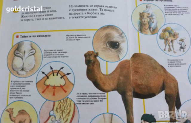 енциклопедия света около нас, снимка 4 - Енциклопедии, справочници - 15775924