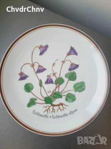 6бр Rosenthal Розентал стара немска колекционерска декоративна порцеланова чиния-картина/цветя, снимка 2 - Картини - 48041930
