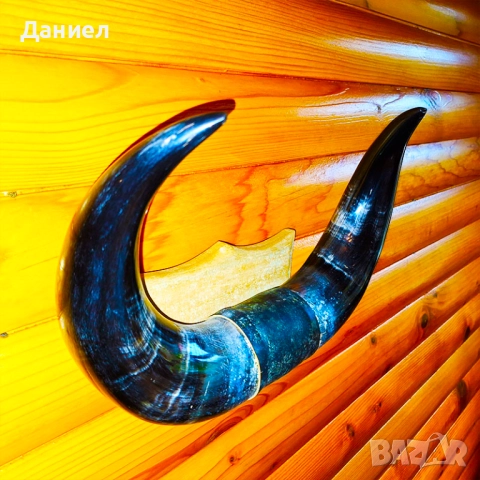 Декорация от рога на воден бивол, снимка 4 - Декорация за дома - 52028966