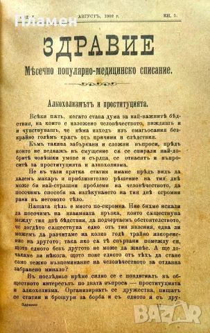 Здравие. Год. 1. Кн. 2-12 / 1902, снимка 8 - Антикварни и старинни предмети - 56325877
