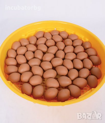Инкубатор за до 70 яйца, румънско производство, гаранция, сервиз, снимка 1 - Други стоки за животни - 35851531