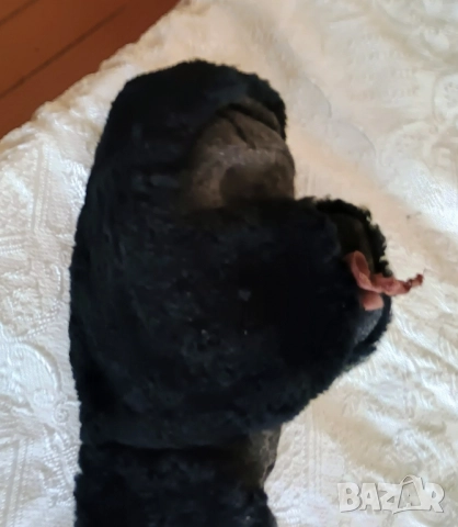 Оригинална ушанка, изцяло естествен материал, снимка 6 - Спортни дрехи, екипи - 52419511