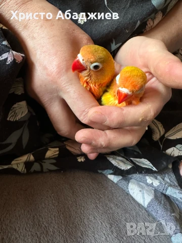 ръчни неразделки