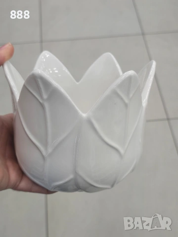 саксии кашпи 