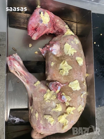 Печени агнета и прасета, снимка 6 - Други услуги - 51031087