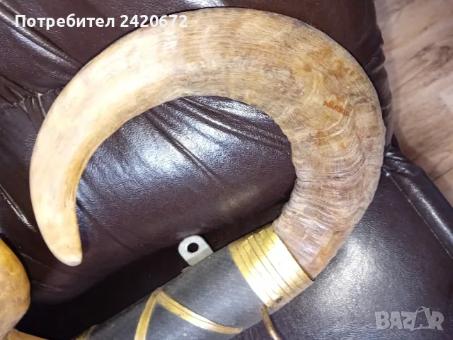 ретро   закачалка  с  рога , снимка 5 - Декорация за дома - 48633442