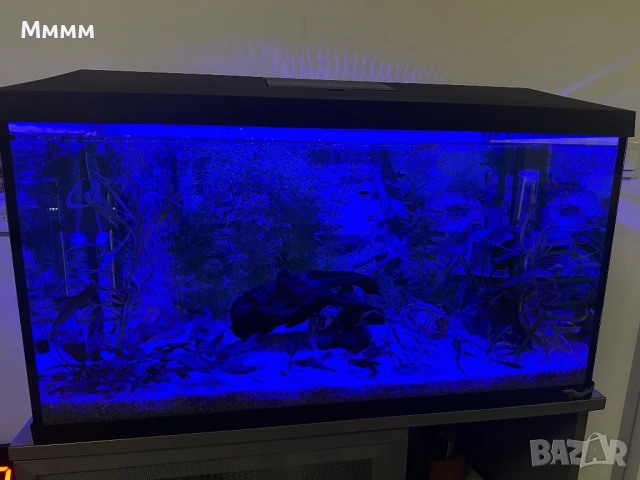 Aquael leddy 75plus и филтър eheim eccopro 300, снимка 2 - Аквариуми - 52823482