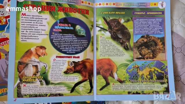 Зайко Байко Всичкознайко, снимка 3 - Детски книжки - 51229089