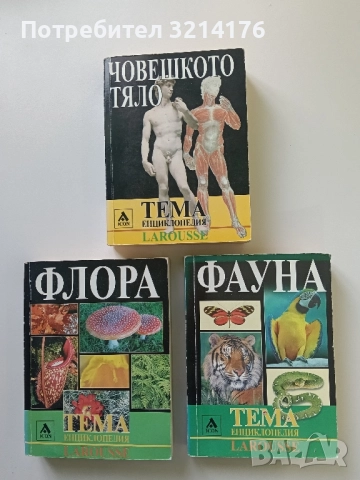 Фауна – Колектив