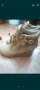 Зимни обувки, снимка 1 - Дамски боти - 34414959