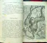 Малки разкази за животни и растения. Кн. 1-4 Стефанъ Велчевъ /1929/, снимка 5