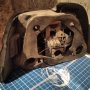 Десен заден стоп за  BMW E39, HELLA  6900210 , снимка 3