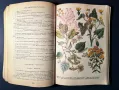 Стара Книга Разпознаване и Събиране на Билки / Борис Китанов, снимка 1
