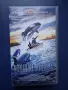 Колекция Видеокасети VHS Волният Уили 1 - 3 Част, снимка 4