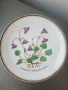 6бр Rosenthal Розентал стара немска колекционерска декоративна порцеланова чиния-картина/цветя, снимка 2