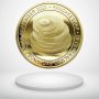 PancakeSwap coin / Панкейк монета ( CAKE ) - Gold, снимка 3