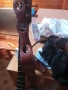 Takamine Jumbo Electroacoustic Bass, снимка 3
