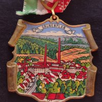 Стар медал Германия GRUNENPLAN 1979 година за колекция - 25926, снимка 2 - Антикварни и старинни предмети - 34607423