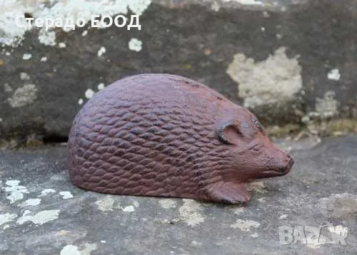 Чугунено таралежче, снимка 1