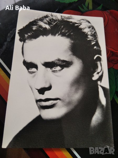 Картичка /снимка френския актьор Ален Делон , снимка 1