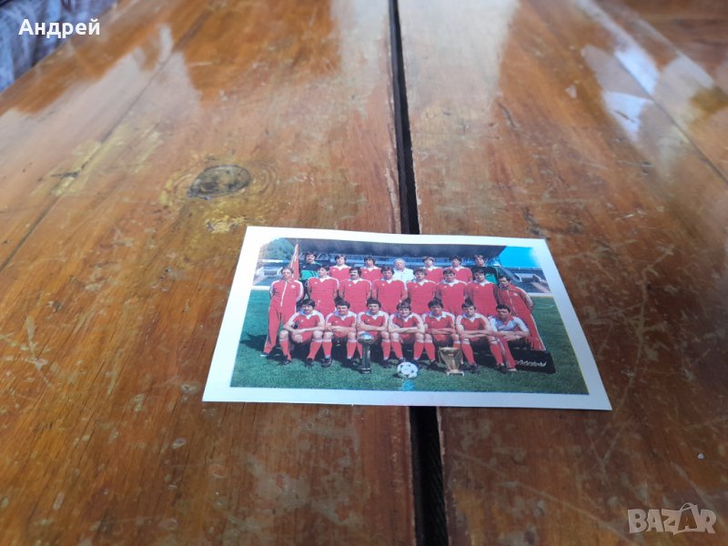 Календарче ЦСКА 1984, снимка 1