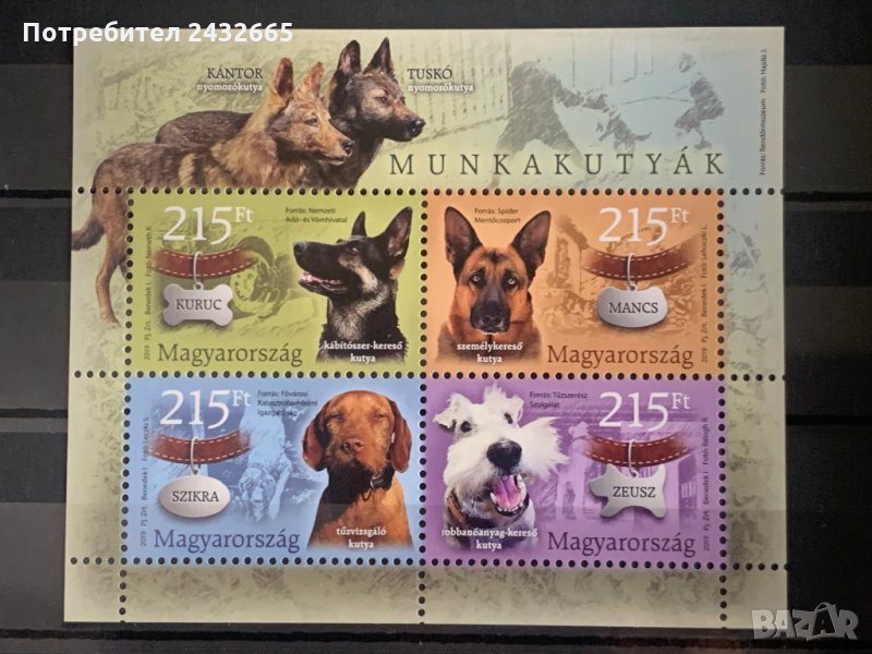 900. Унгария 2019 ~ “Фауна. Служебни кучета ”, **, MNH, снимка 1