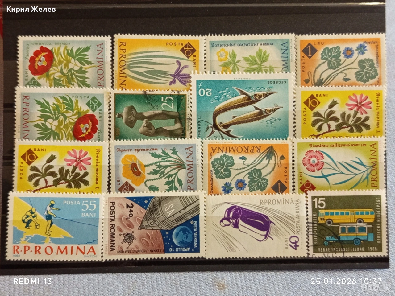 Стари пощенски марки от цял свят смесени ЦВЕТЯ, ЖИВОТНИ,КОСМОС за КОЛЕКЦИЯ 51978, снимка 1