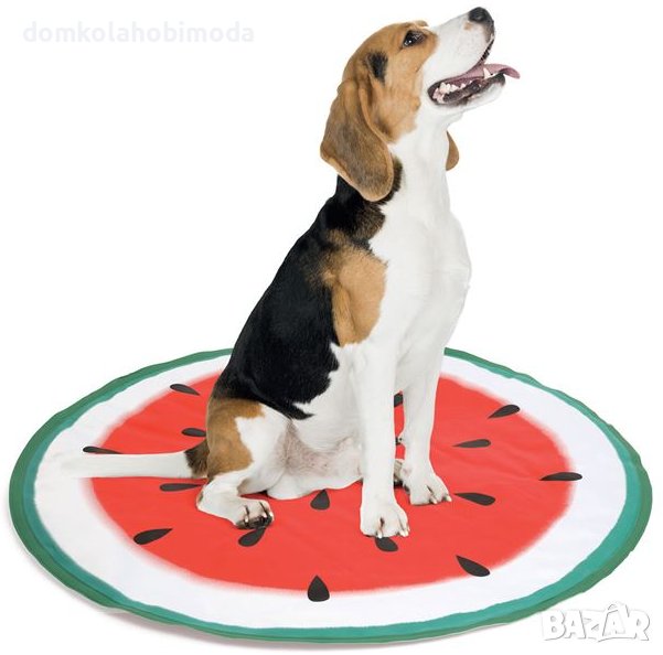 Охлаждаща подложка за домашни любимци, Дизайн на диня, 59х1,5 см, снимка 1
