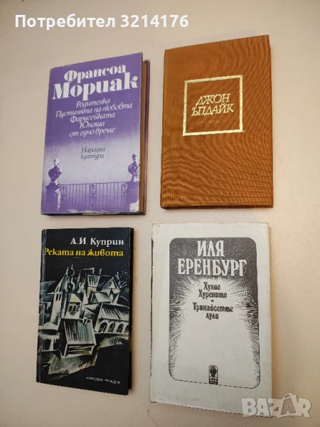 Задачи - Джон Ъпдайк, снимка 1