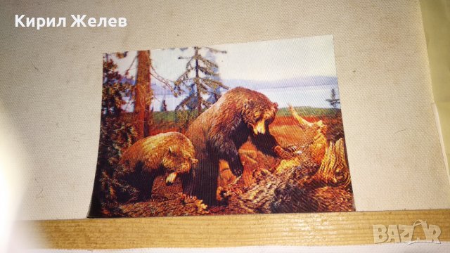 СТАРА ЯПОНСКА СТЕРЕОСКОПИЧНА КАРТИЧКА MADE in JAPAN РЯДКА КОЛЕКЦИОНЕРСКА 32843, снимка 3 - Филателия - 38652769