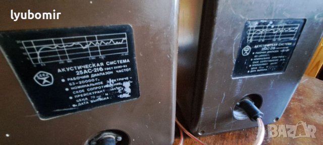 Акустична система 25ас-216, снимка 4 - Тонколони - 40561122
