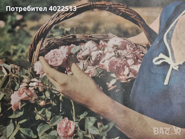 Продава, снимка 5 - Антикварни и старинни предмети - 51940059